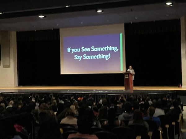 Assistant State's Attorney Karen Mooney speaks at a high school about gun safety.