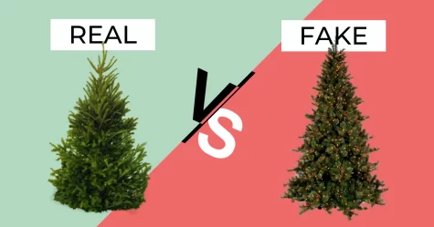 Whether artificial or natural, Christmas trees are everywhere. 