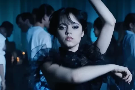 Jenna Ortega stars in Netflixs second most watched series, Wednesday.