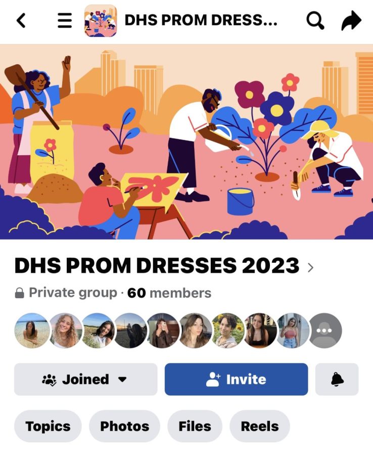 Anyone who buys a dress to wear to prom posts a picture of it in the DHS prom dresses Facebook group page so everyone has different dresses. 