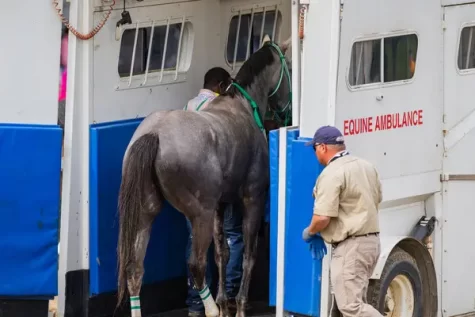 A horse competing in this years Kentucky Derby is escorted into an equine ambulance.