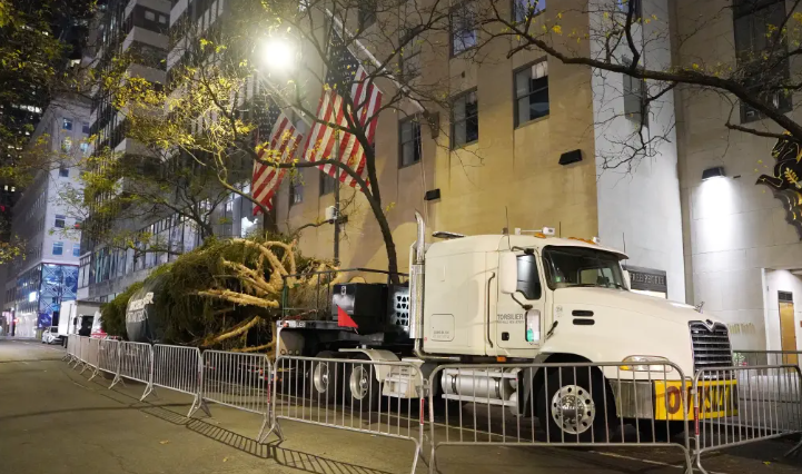 Arrival of the 2024 Christmas Tree at Rockefeller spotted at night