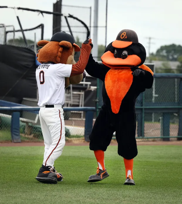 Frederick Keys and Orioles mascot high-fiving