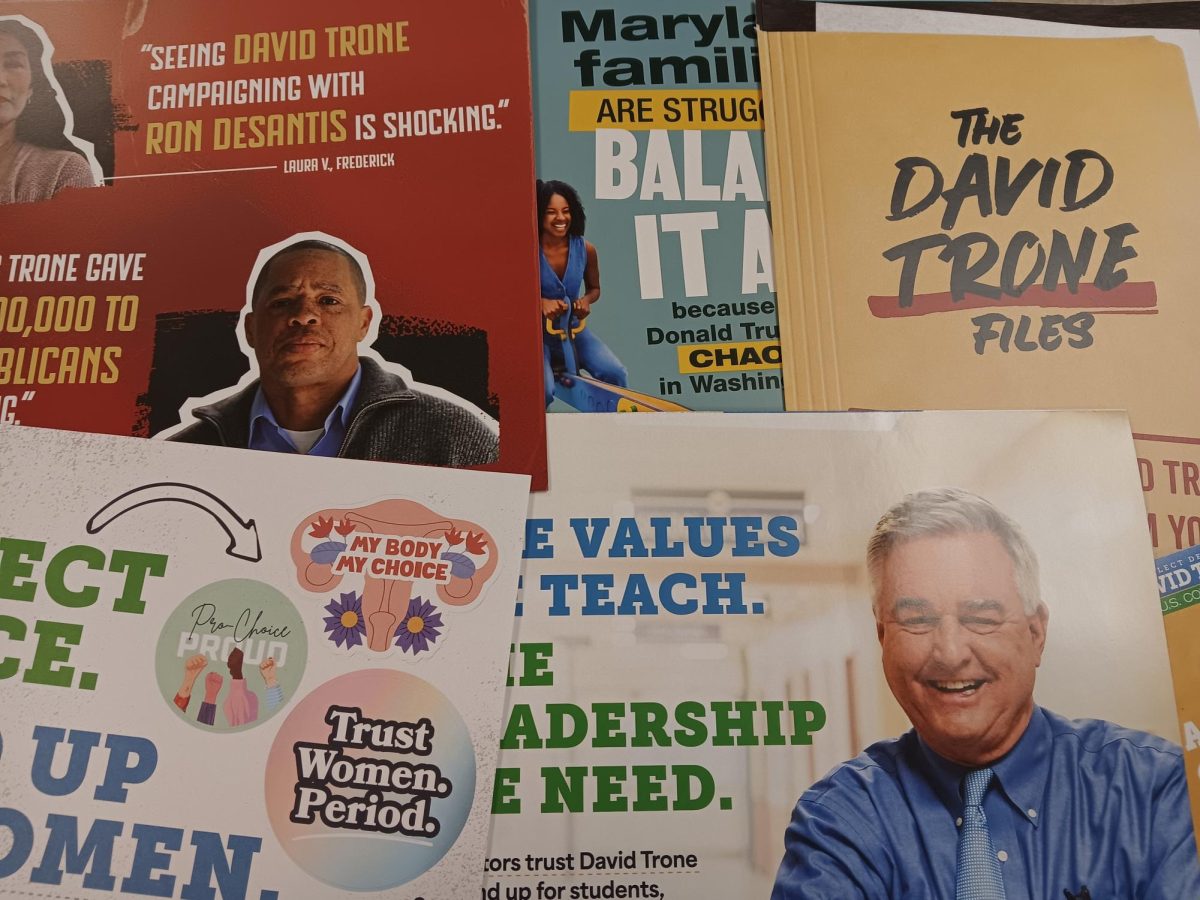 Numerous campaign ads received by one student.